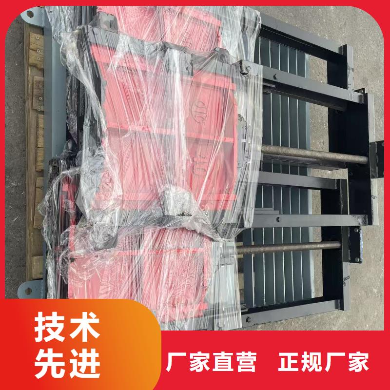 暗杆式铸铁镶铜闸门