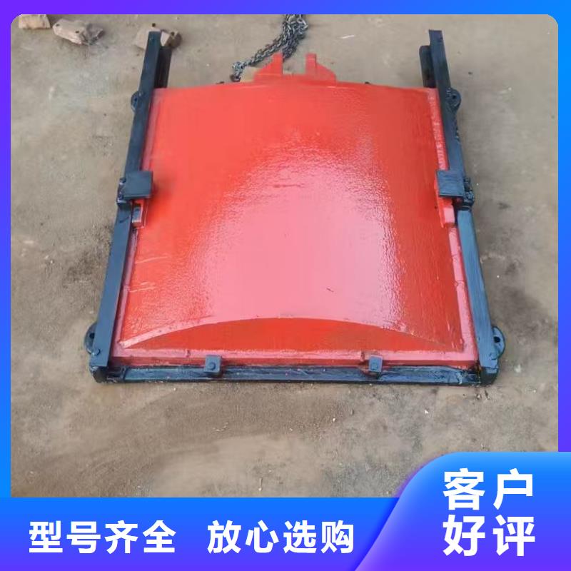 铸铁镶铜闸门-双向止水铸铁闸门一站式解决方案