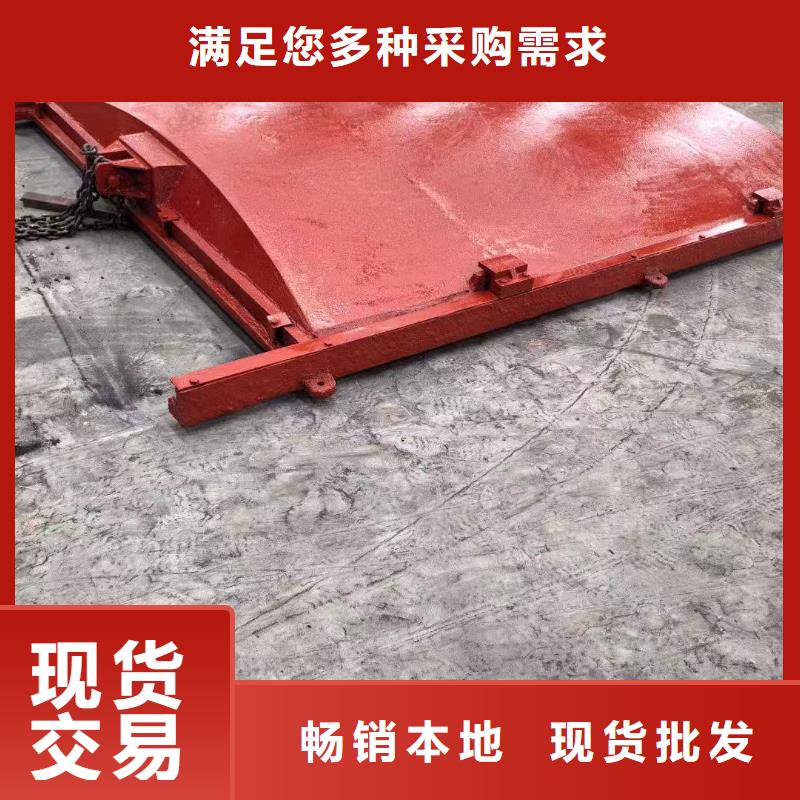 铸铁闸门-止水带橡胶品质卓越