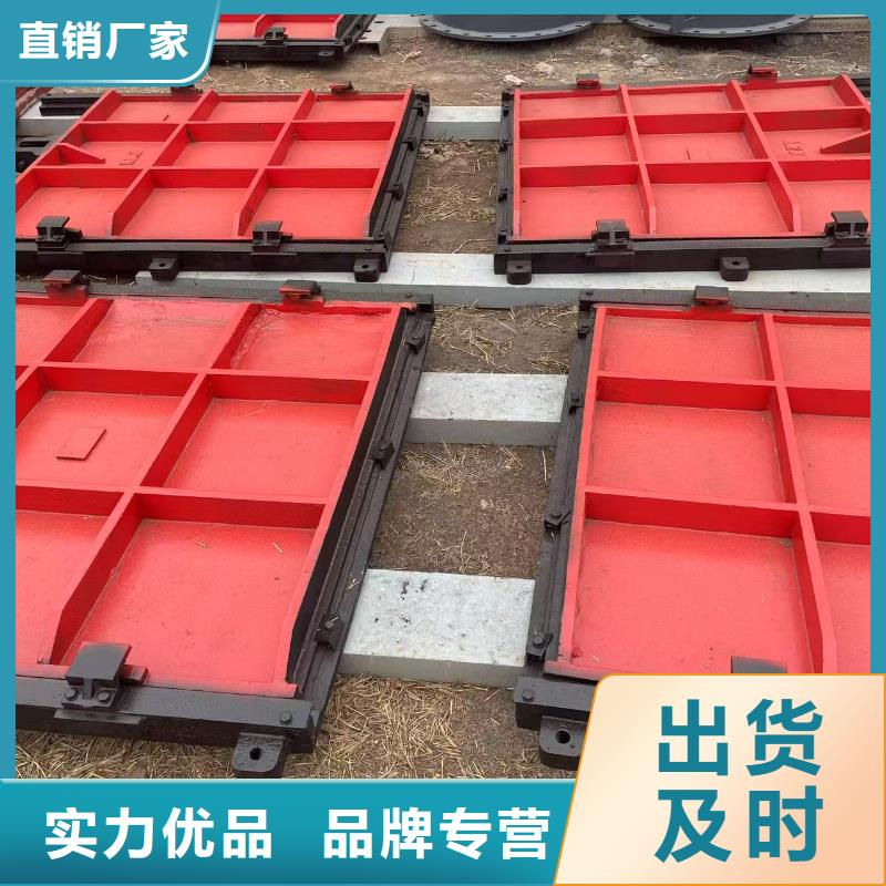 机门一体铸铁闸门源头供应商