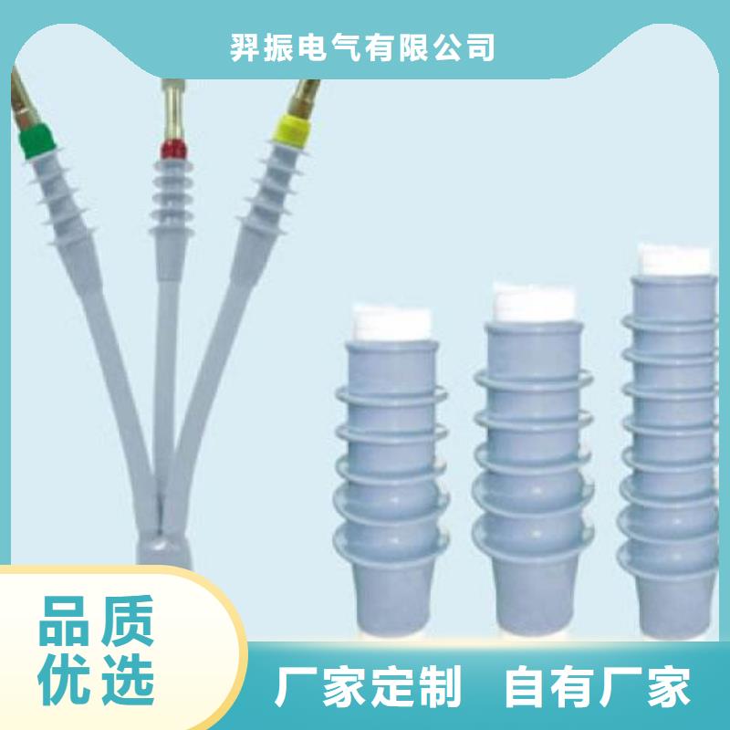 电缆中间接头RSJY-1/2-24KV