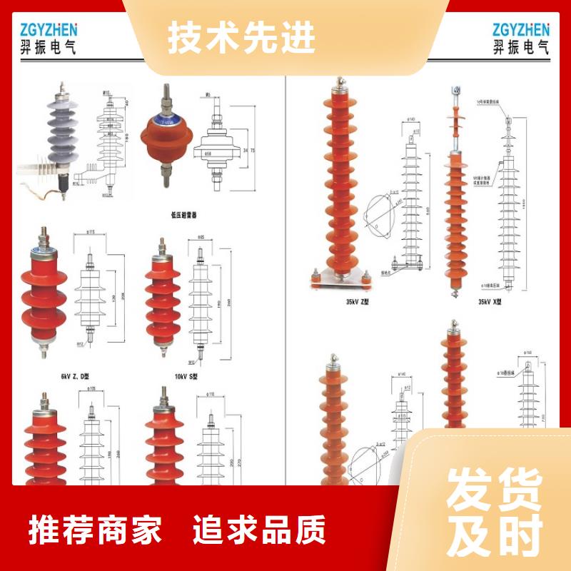 YH5WZ-42/124【浙江羿振电气有限公司】