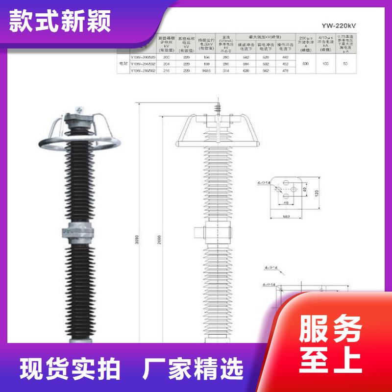 避雷器HY10WZ-102/266【羿振电气】