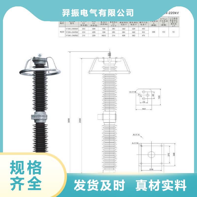 【避雷器】Y10W5-54/134