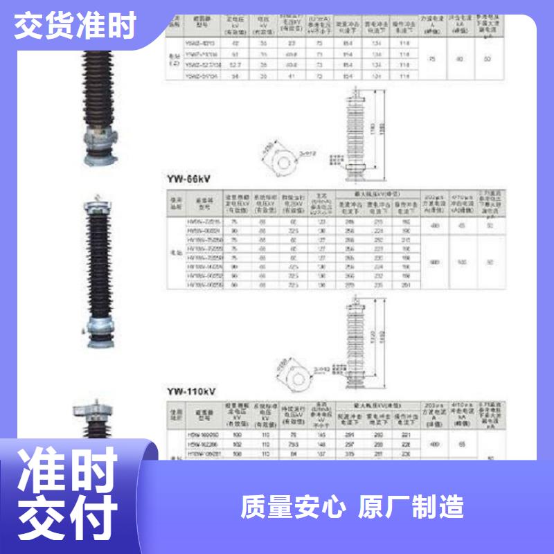 【避雷器】Y10W5-54/134