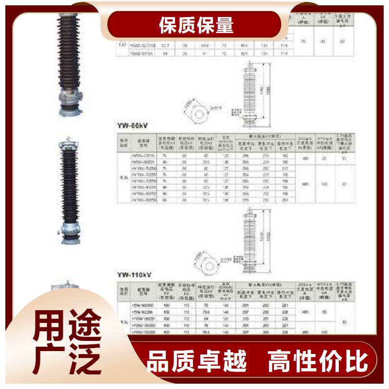 可卸式避雷器YH5WS-17/50T