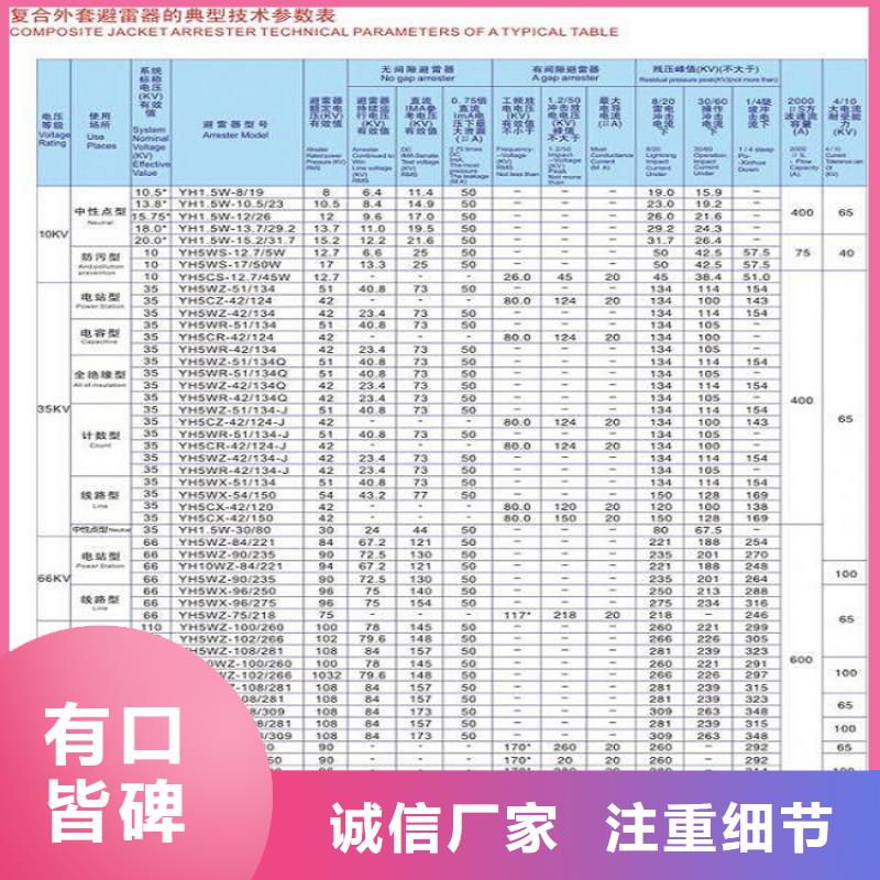 FS2-6KV阀式避雷器