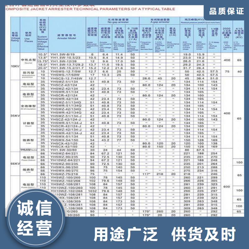 避雷器Y10W5-96/250W上海羿振电力设备有限公司