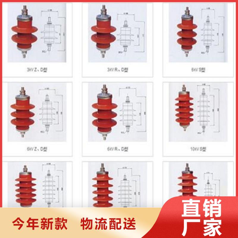 避雷器Y5W1-96/250【羿振电气】