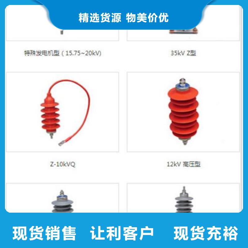 避雷器YH5WS-10/30L