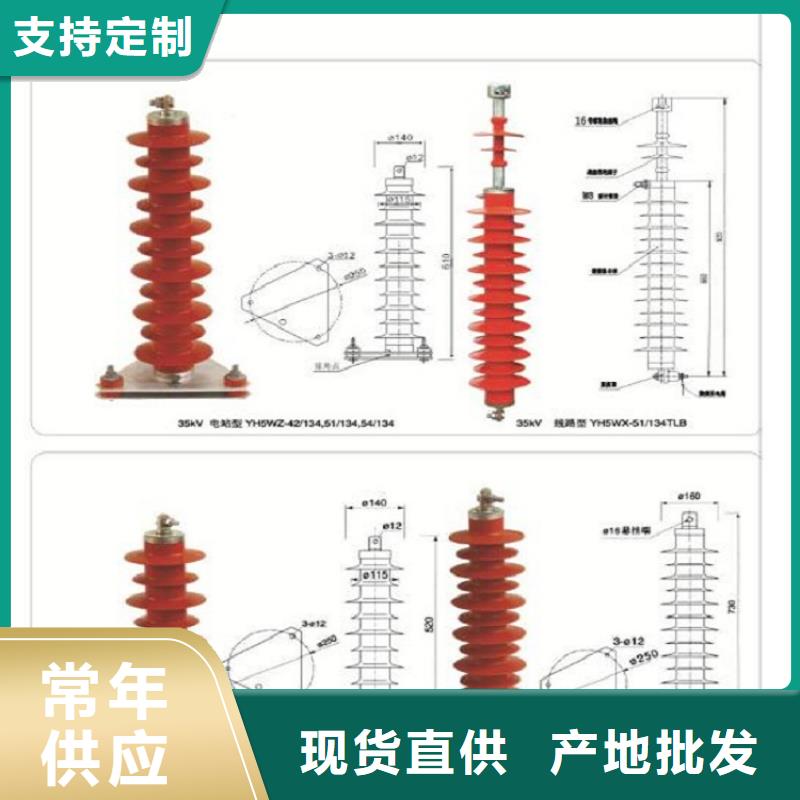 可卸式避雷器YH5WS-17/50T