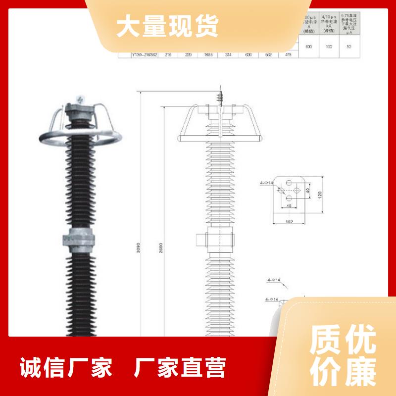 避雷器HY10WZ2-96/232S【羿振电气】