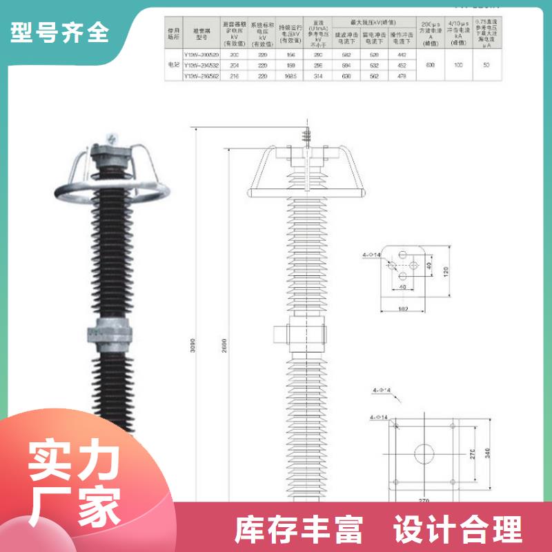 氧化锌避雷器Y10W-200/496生产厂家