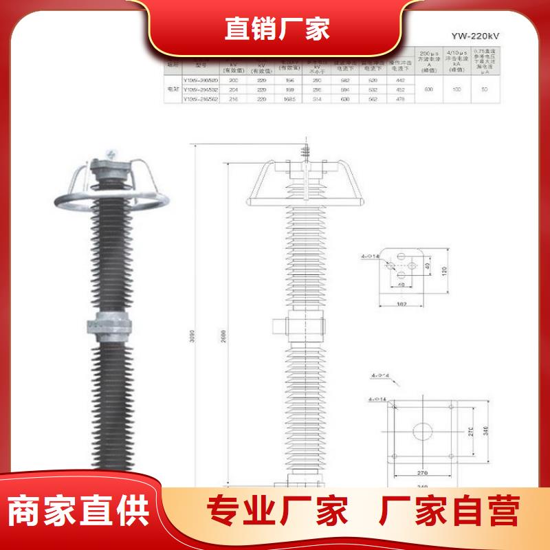 氧化锌避雷器HY10WZ-100/260