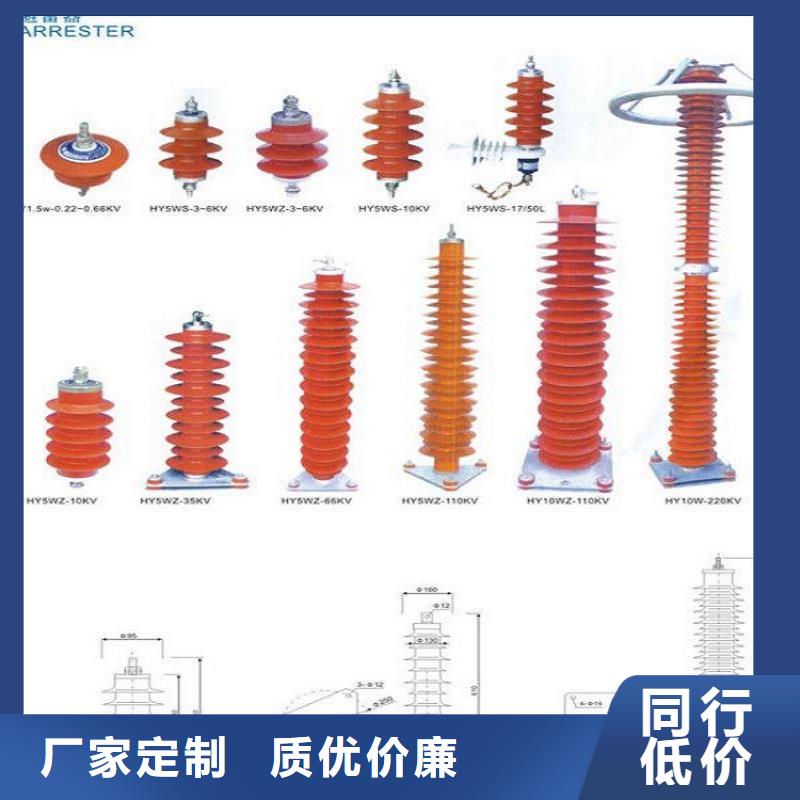 避雷器Y5W1-96/250【羿振电气】