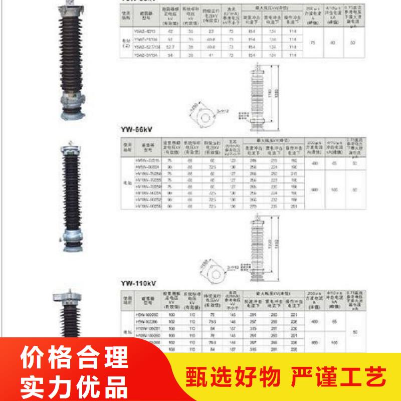 氧化锌避雷器YH10WX-100/266TD