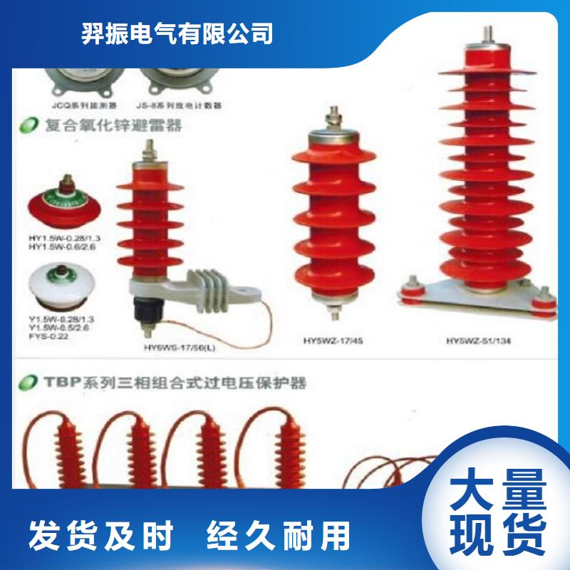 避雷器Y5W1-96/250【羿振电气】