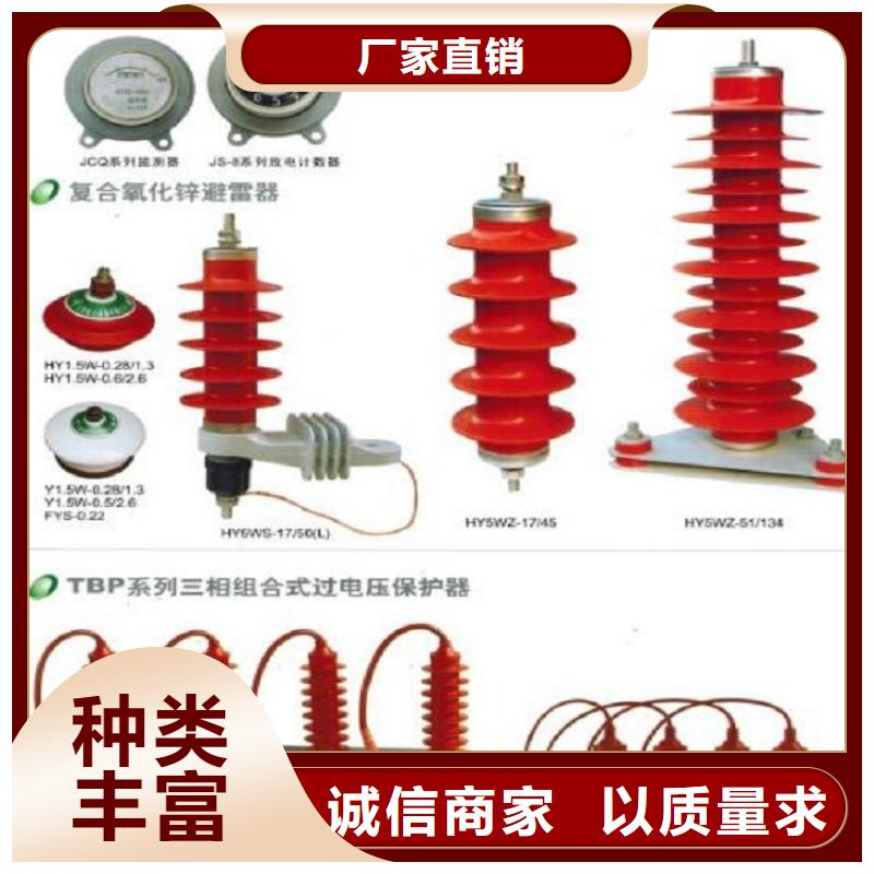 【羿振电气】避雷器HY5WS2-42/134