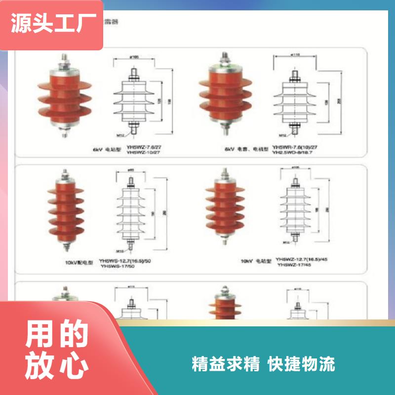 避雷器Y10W-100/260【浙江羿振电气有限公司】