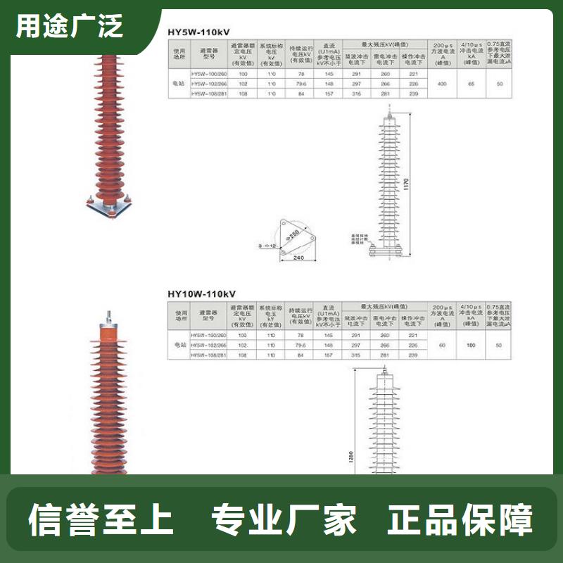 避雷器YH10WZ-100/260