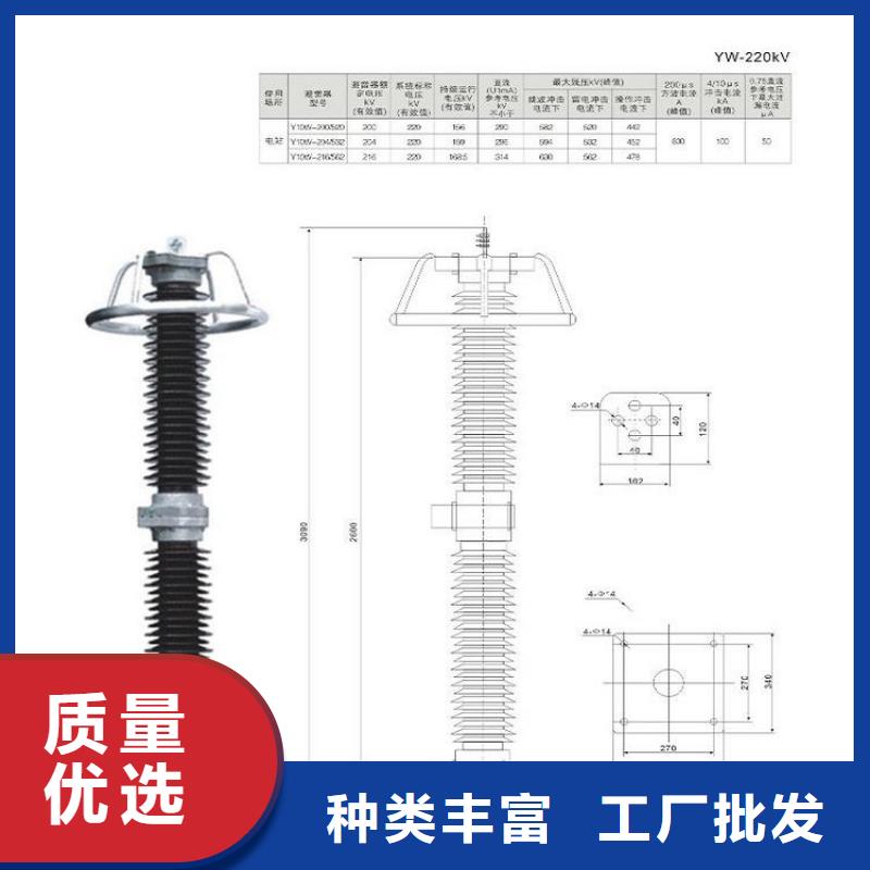 避雷器Y10W5-198/565【羿振电气】