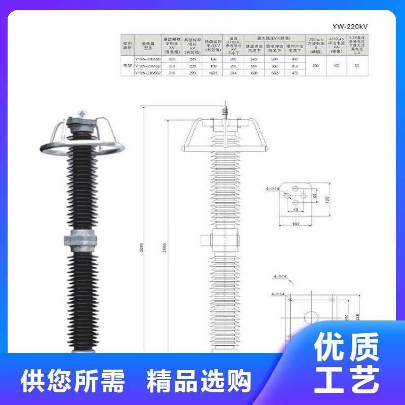 避雷器Y5WZ-51/134W【羿振电气】