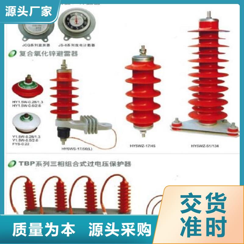 避雷器Y10W1-96/328GY【羿振电气】