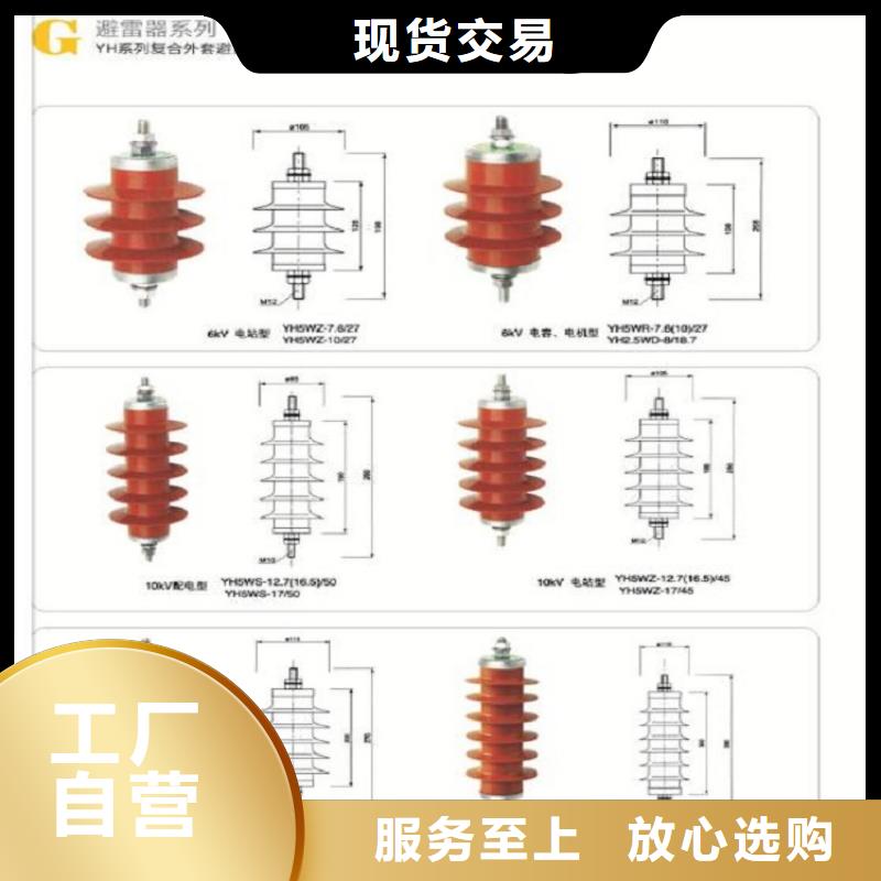 瓷外套金属氧化物避雷器Y10W-192/500【浙江羿振电气有限公司】