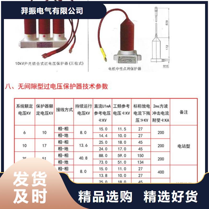 〖过电压保护器〗TBP-B-42F/310厂家报价