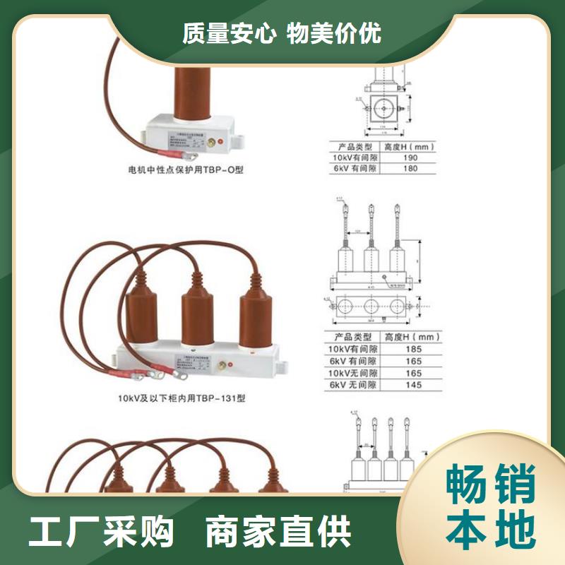 过电压保护器(组合式避雷器)RTB-D-7.6KV/85-J