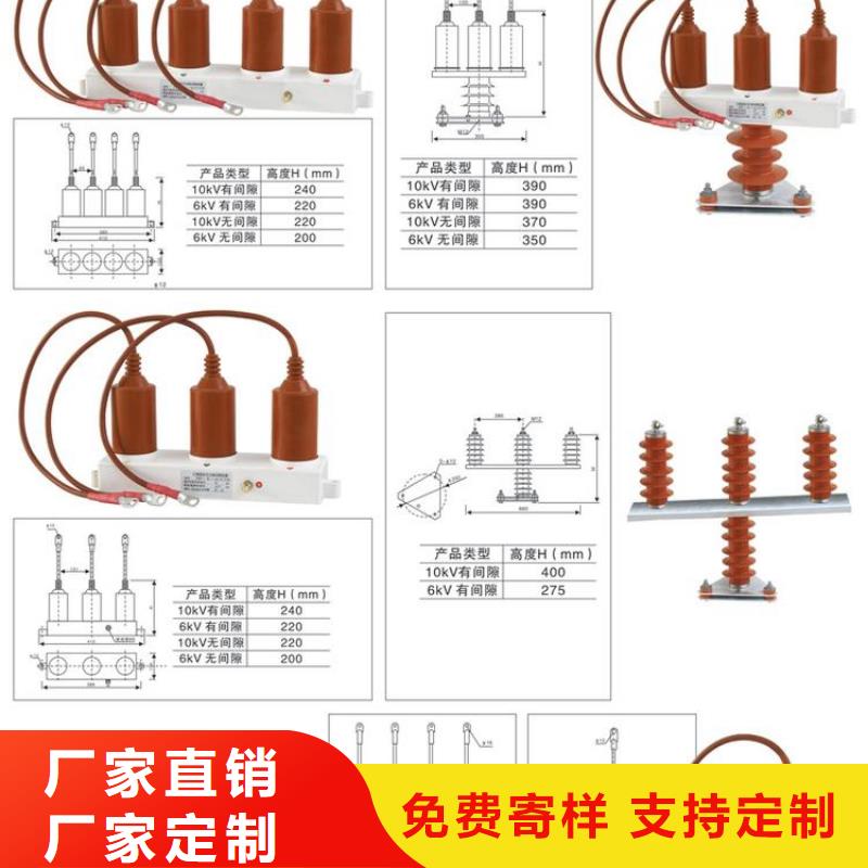 过电压保护器(组合式避雷器)RTB-D-7.6KV/85-J