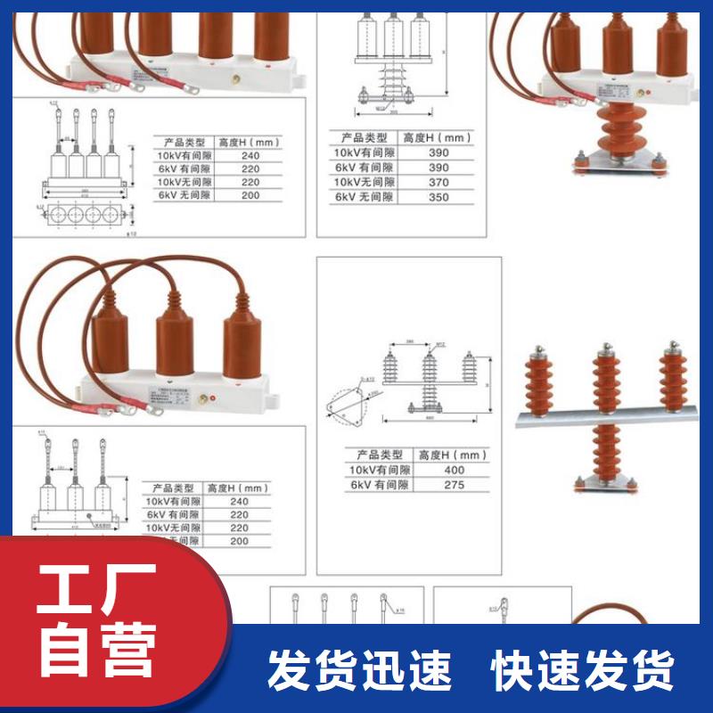 保护器(组合式避雷器)YHB1.5CD-8/19*8/19