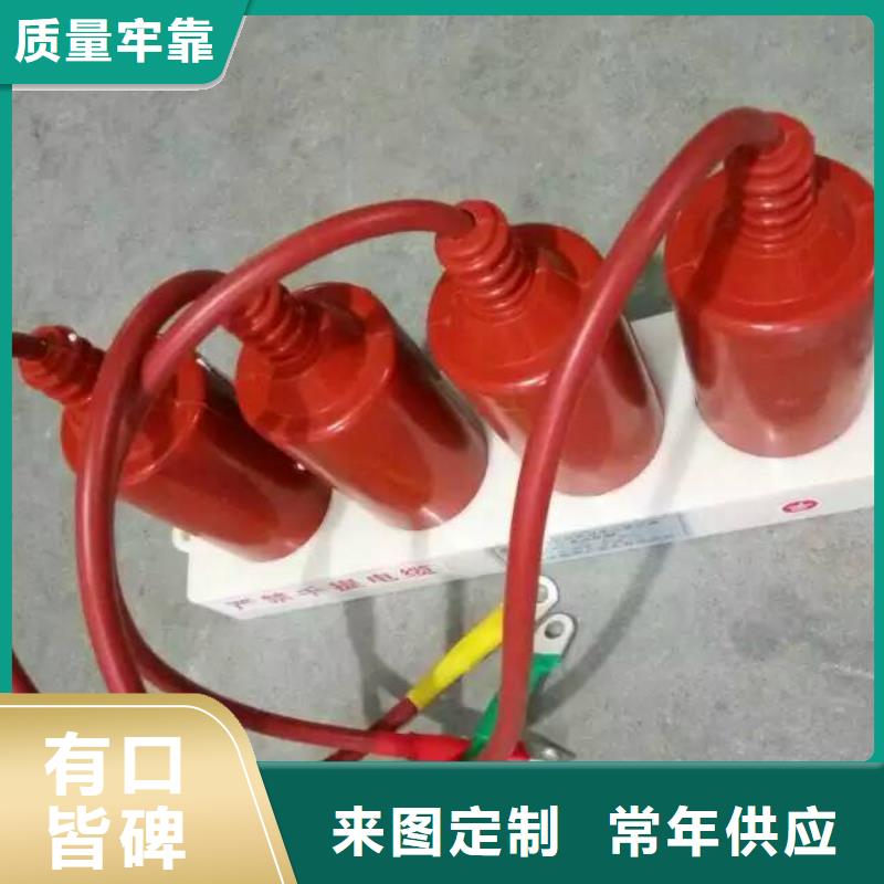 保护器(组合式避雷器)TBP-Y-A/35-F组合过电压保护器