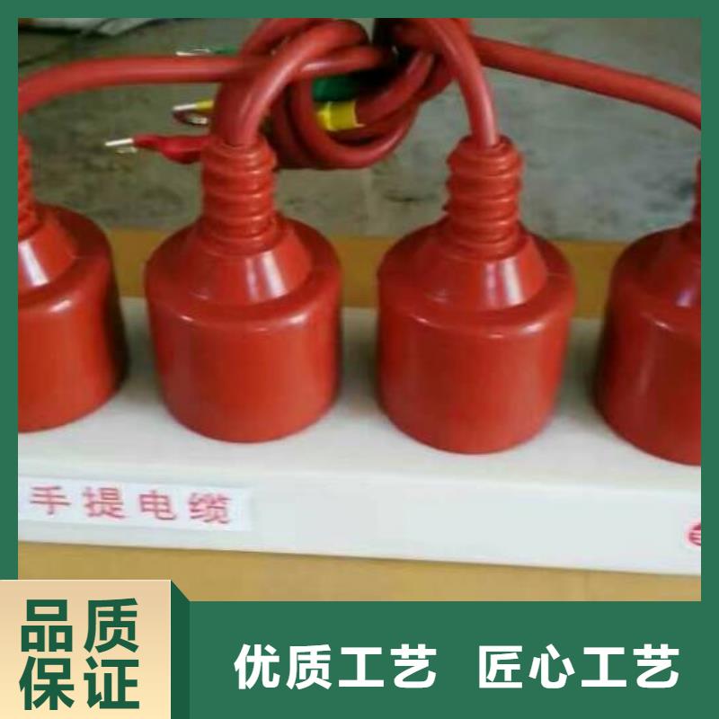 过电压保护器(组合式避雷器)TBP-B-7.6F/85-J