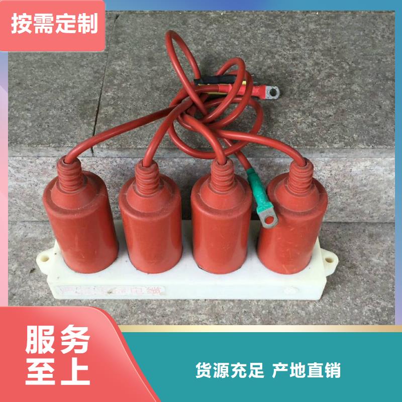 过电压保护器(组合式避雷器)RTB-D-7.6KV/85-J