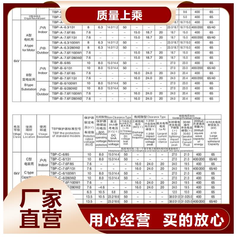 【羿振电力牌】过电压保护器TBP-B-12.7/150