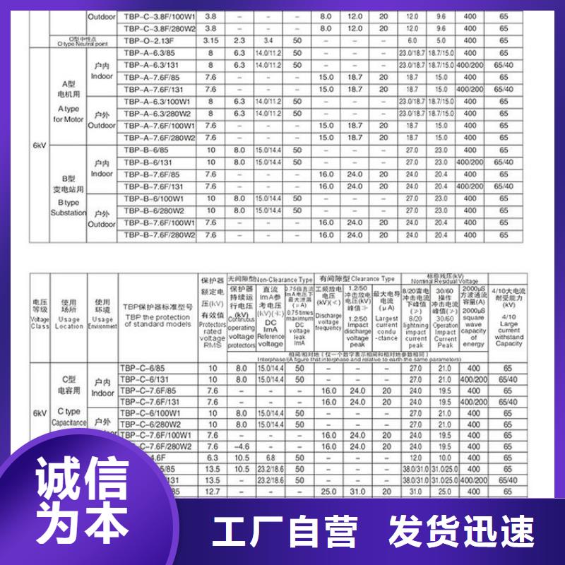 〖过电压保护器〗TBP-C-7.6/131免费咨询