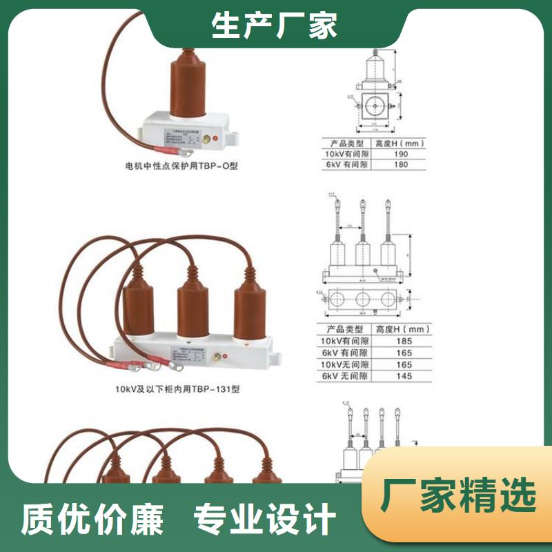 保护器(组合式避雷器)YD600-C-12.7KV/F