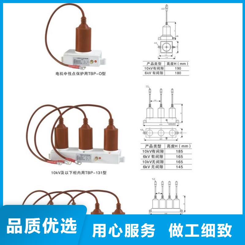 过电压保护器(组合式避雷器)TBP-C-3.8F/100W1