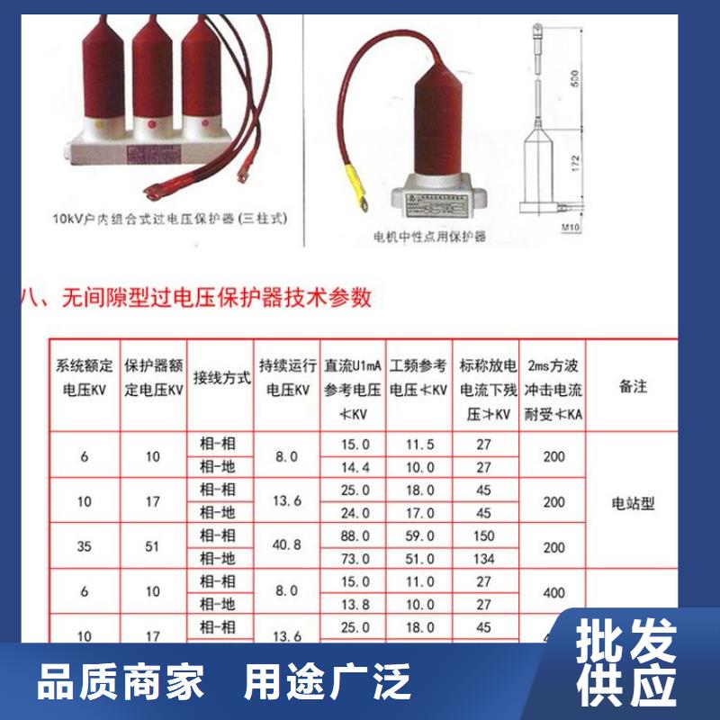 保护器(组合式避雷器)YHB1.5CD-8/19*8/19