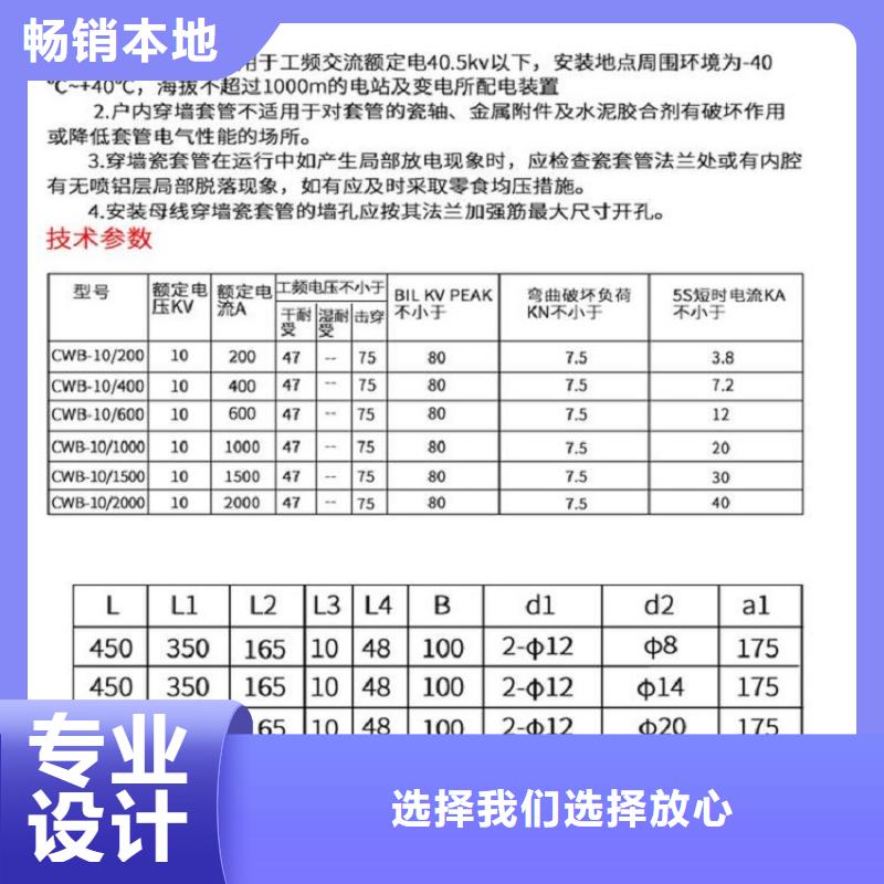 【穿墙套管】CWWL-35KV/1000A