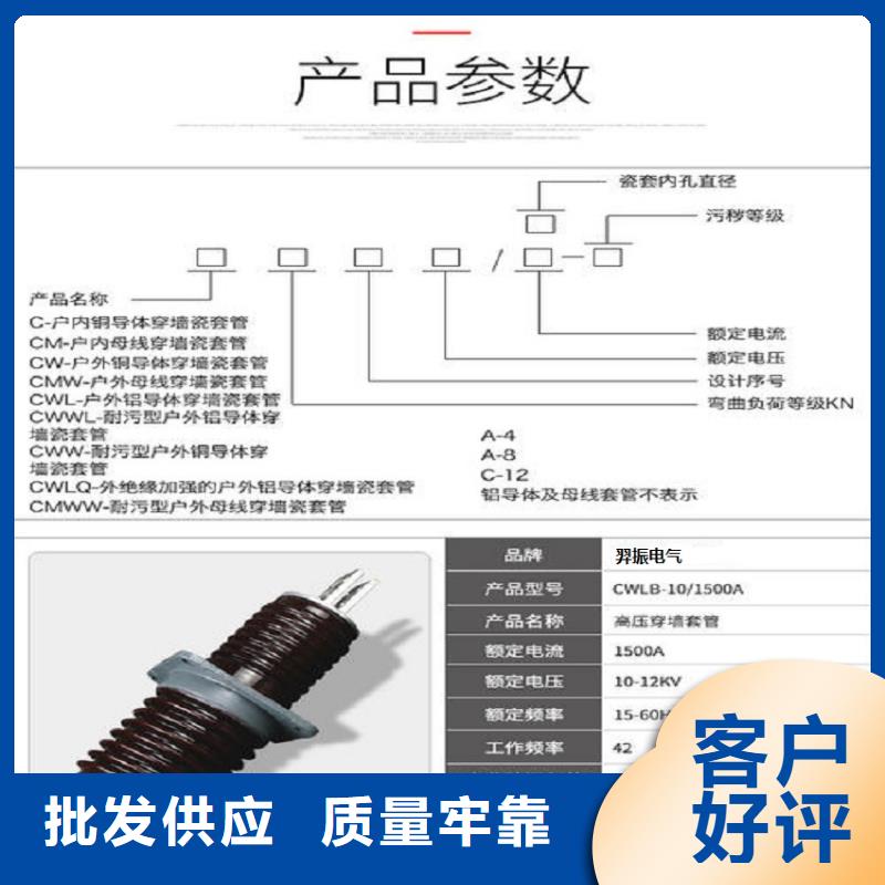 【羿振电力】AC10KV交流穿墙套管.陶瓷400A无CT铜