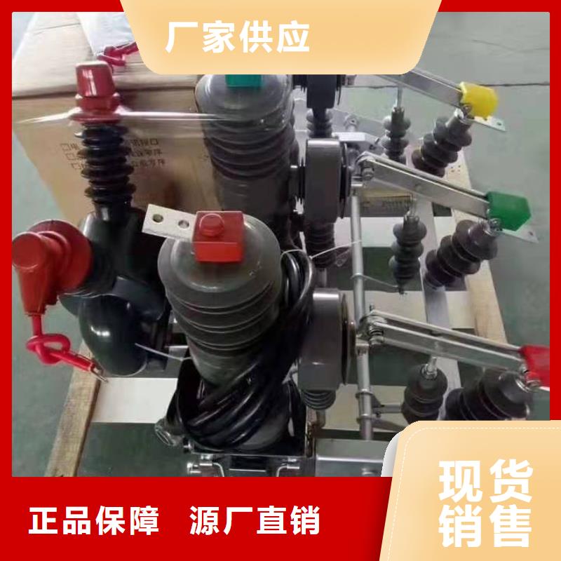 品牌：【羿振电气】柱上断路器.AC10kV.630A.20kA.真空.有隔离闸刀.户外