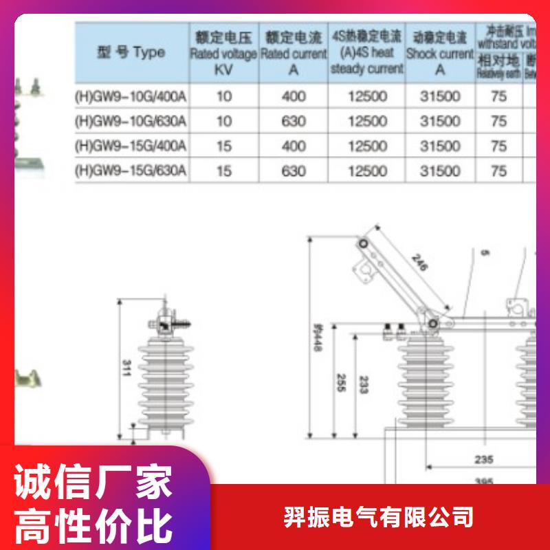 【羿振电气】户外高压交流隔离开关：GW9-10/1250A全国发货