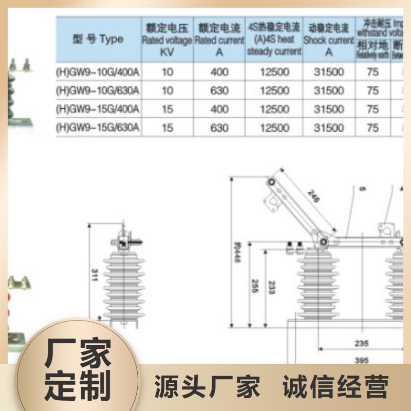 【羿振电气】高压隔离开关*HGW9-12G/400出厂价格