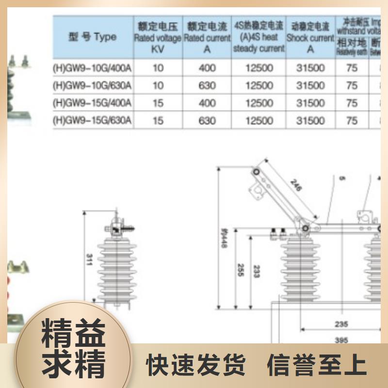 【隔离刀闸】FGW9-12/200