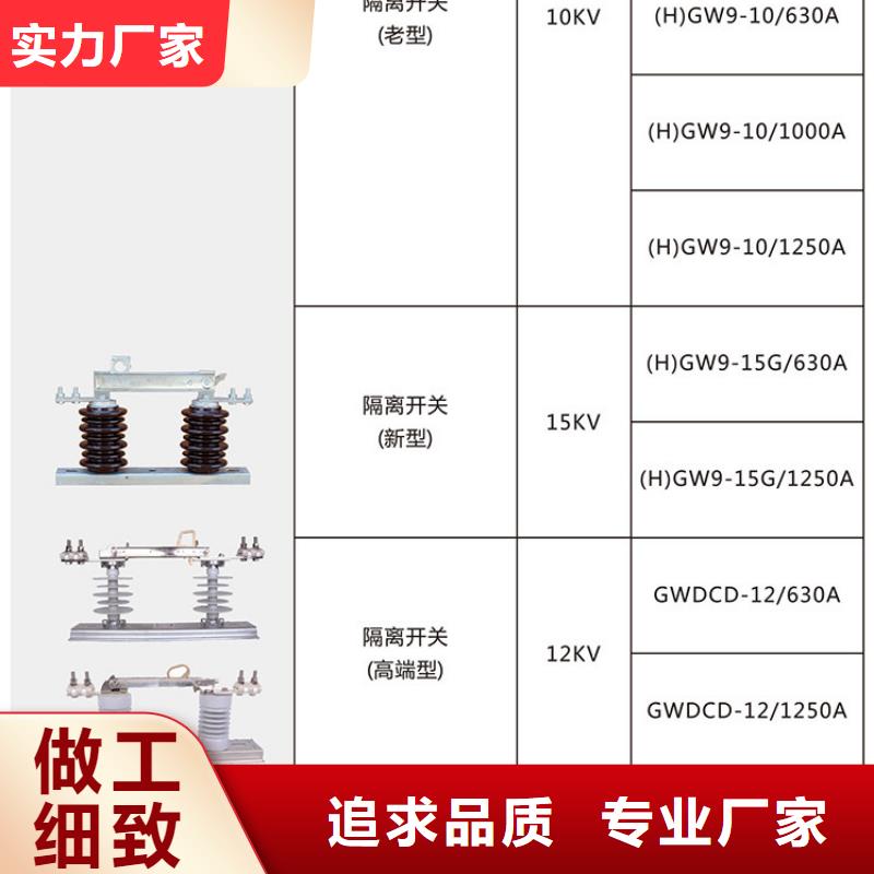 【高压隔离开关】HGW9-10KV/200