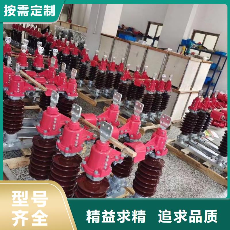 户外高压隔离开关HGW1-10KV/400