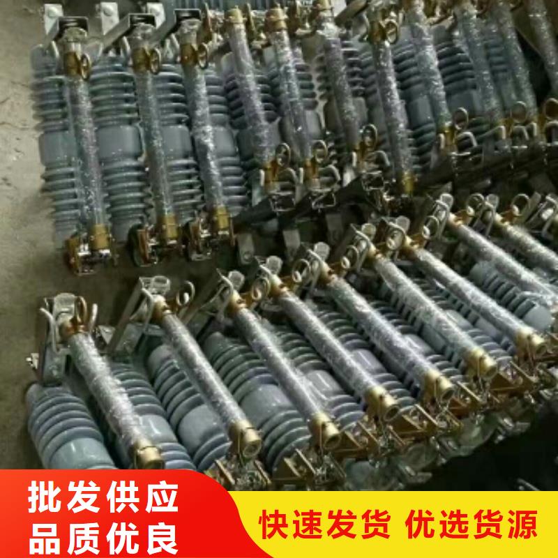 氧化锌避雷器Y1.5W-60/144W实体厂家浙江羿振电气有限公司