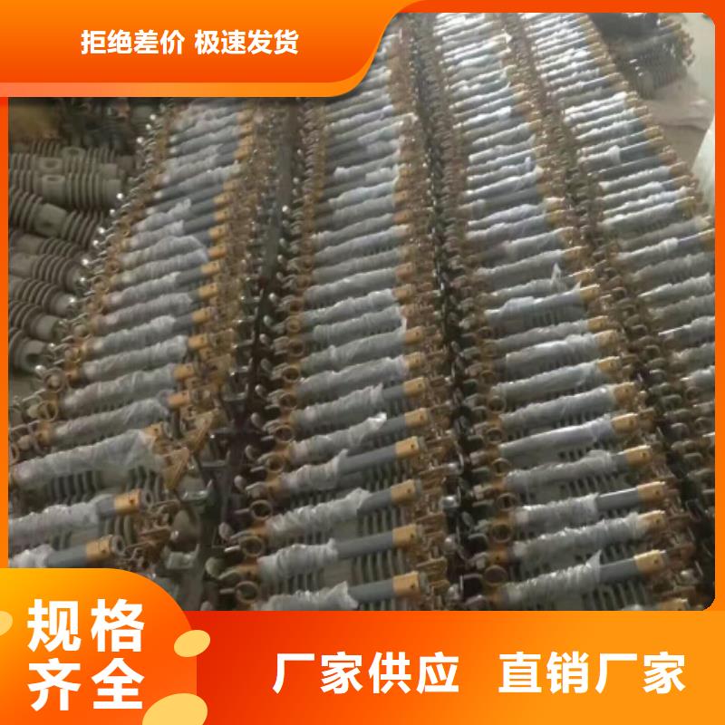 甄选：【温州】高压熔断器/RW8-10G/100A-羿振电力设备有限公司